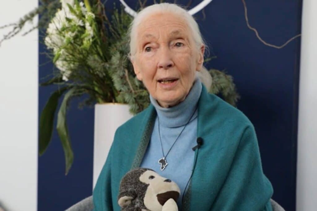 Jane Goodall